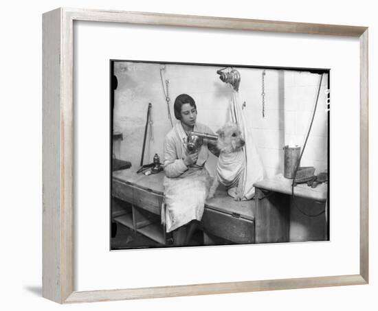 Poodle Parlour 1930s-null-Framed Photographic Print