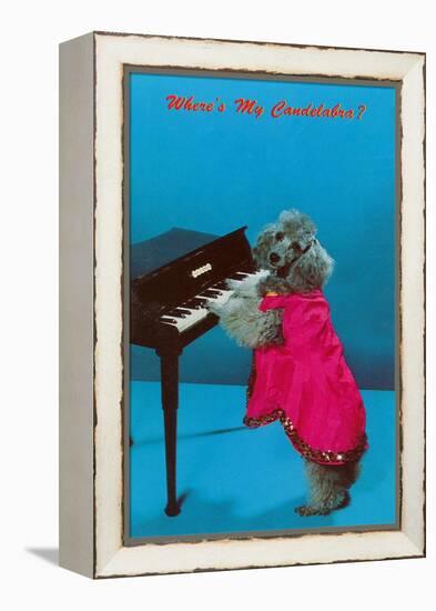 Poodle Playing Piano, Retro-null-Framed Stretched Canvas