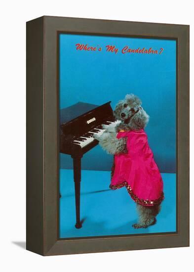 Poodle Playing Piano, Retro-null-Framed Stretched Canvas