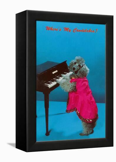 Poodle Playing Piano, Retro-null-Framed Stretched Canvas