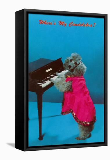 Poodle Playing Piano, Retro-null-Framed Stretched Canvas