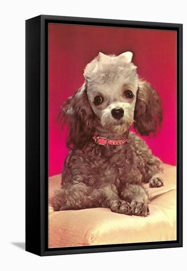 Poodle Pup-null-Framed Stretched Canvas