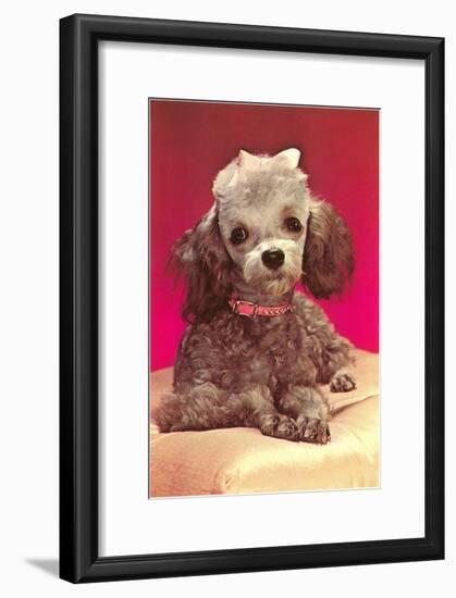 Poodle Pup-null-Framed Art Print