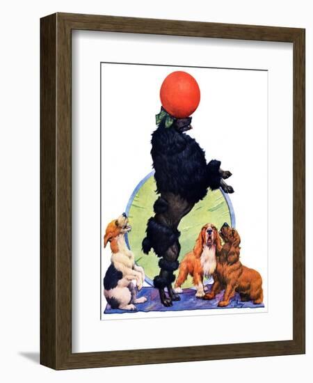 "Poodle Tricks,"June 19, 1926-Robert L. Dickey-Framed Giclee Print