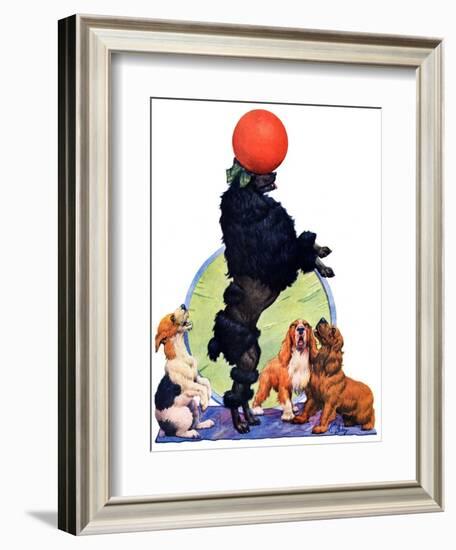 "Poodle Tricks,"June 19, 1926-Robert L. Dickey-Framed Giclee Print