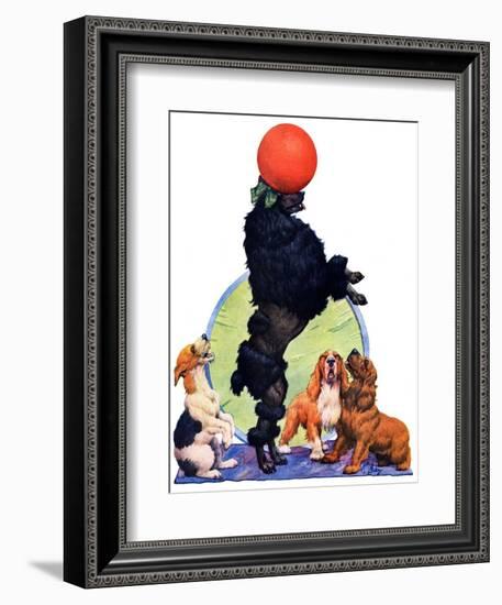 "Poodle Tricks,"June 19, 1926-Robert L. Dickey-Framed Giclee Print