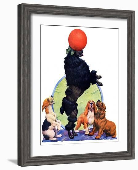 "Poodle Tricks,"June 19, 1926-Robert L. Dickey-Framed Giclee Print