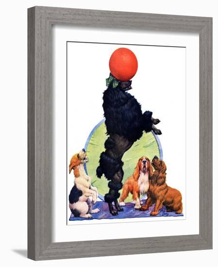 "Poodle Tricks,"June 19, 1926-Robert L. Dickey-Framed Giclee Print