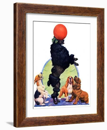 "Poodle Tricks,"June 19, 1926-Robert L. Dickey-Framed Giclee Print