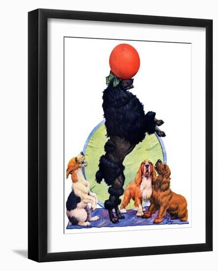 "Poodle Tricks,"June 19, 1926-Robert L. Dickey-Framed Giclee Print