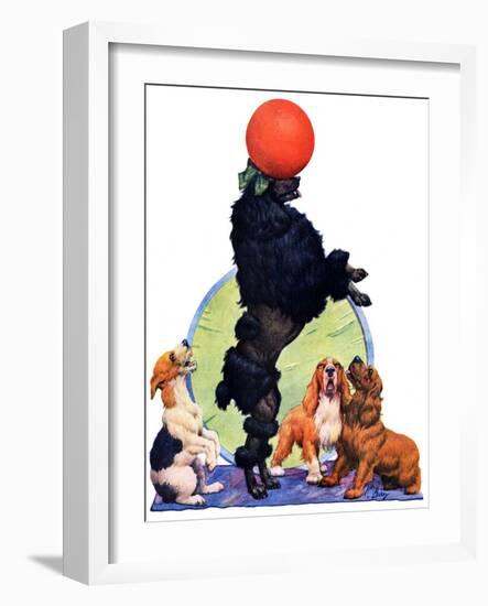 "Poodle Tricks,"June 19, 1926-Robert L. Dickey-Framed Giclee Print