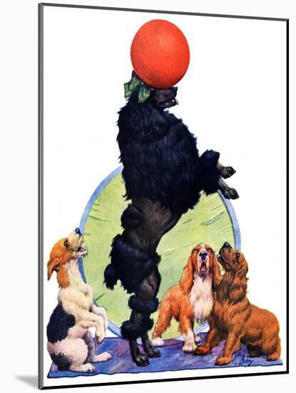 "Poodle Tricks,"June 19, 1926-Robert L. Dickey-Mounted Giclee Print