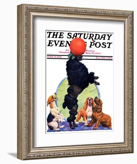 "Poodle Tricks," Saturday Evening Post Cover, June 19, 1926-Robert L. Dickey-Framed Giclee Print