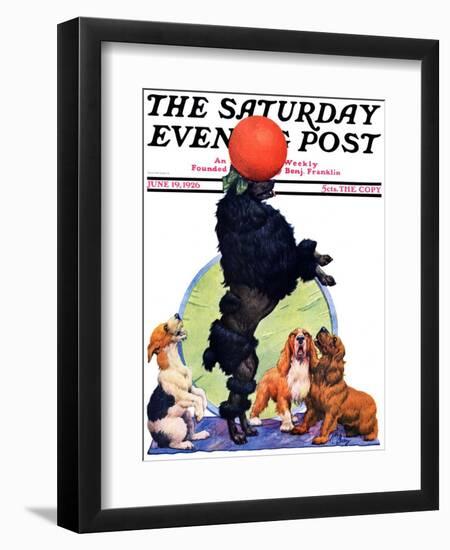 "Poodle Tricks," Saturday Evening Post Cover, June 19, 1926-Robert L. Dickey-Framed Giclee Print