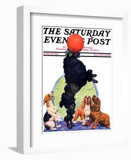 "Poodle Tricks," Saturday Evening Post Cover, June 19, 1926-Robert L. Dickey-Framed Giclee Print