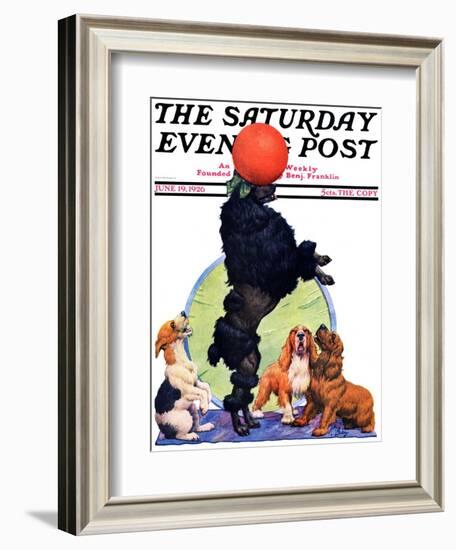 "Poodle Tricks," Saturday Evening Post Cover, June 19, 1926-Robert L. Dickey-Framed Giclee Print