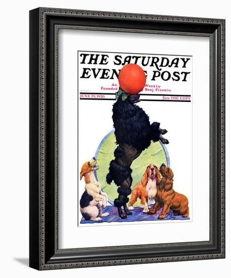 "Poodle Tricks," Saturday Evening Post Cover, June 19, 1926-Robert L. Dickey-Framed Giclee Print