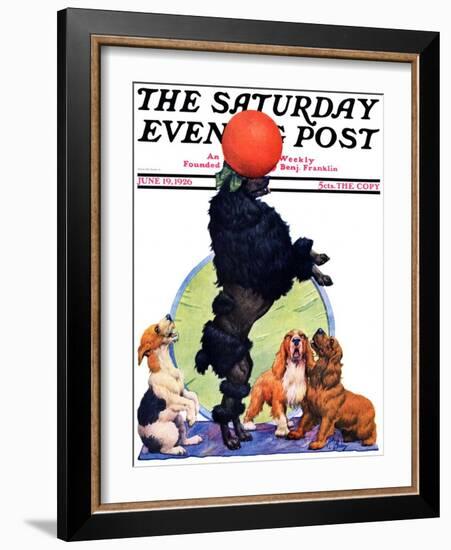 "Poodle Tricks," Saturday Evening Post Cover, June 19, 1926-Robert L. Dickey-Framed Giclee Print