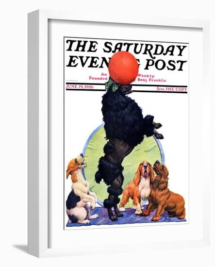 "Poodle Tricks," Saturday Evening Post Cover, June 19, 1926-Robert L. Dickey-Framed Giclee Print