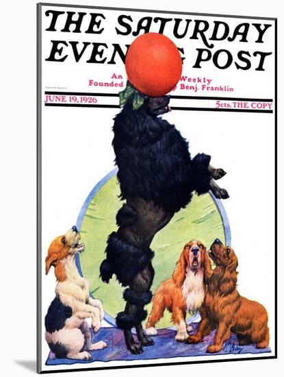 "Poodle Tricks," Saturday Evening Post Cover, June 19, 1926-Robert L. Dickey-Mounted Giclee Print