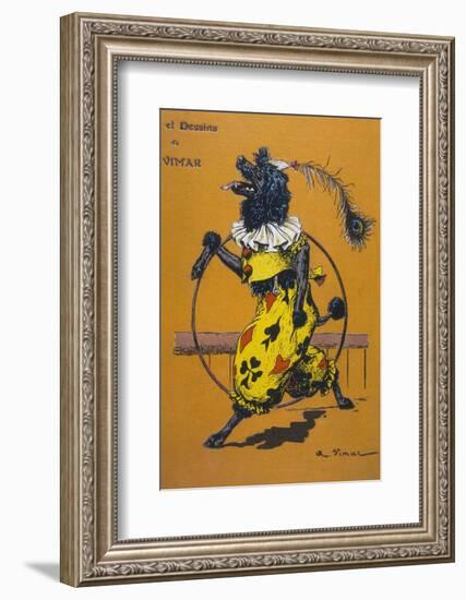 Poodle Wearing Clothes Performs with a Hoop-A. Vitmar-Framed Photographic Print