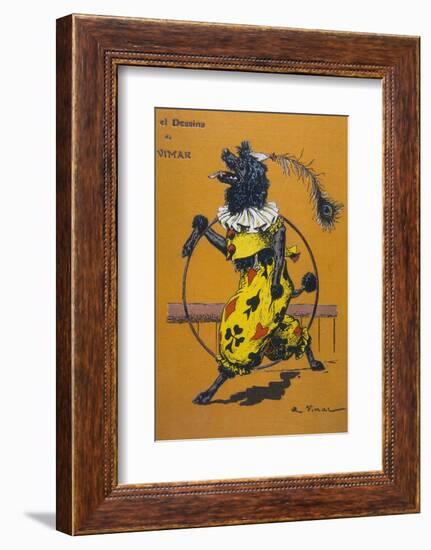 Poodle Wearing Clothes Performs with a Hoop-A. Vitmar-Framed Photographic Print