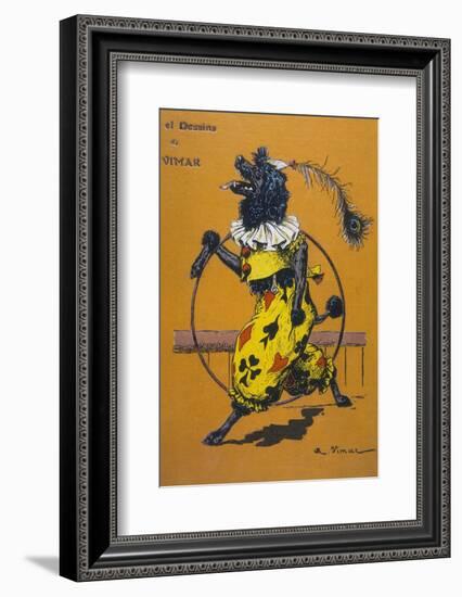 Poodle Wearing Clothes Performs with a Hoop-A. Vitmar-Framed Photographic Print