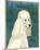 Poodle (white)-John W^ Golden-Mounted Art Print