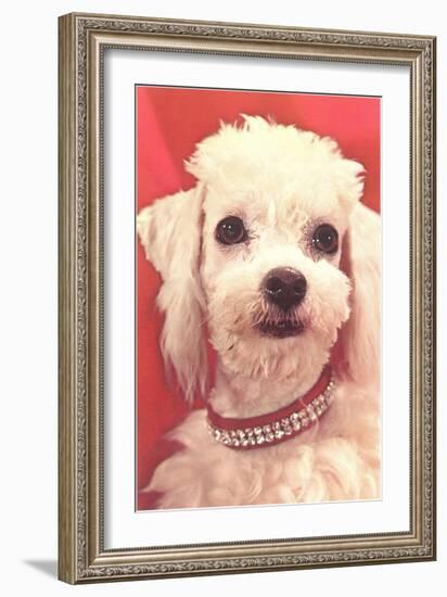 Poodle with Diamond Collar-null-Framed Art Print