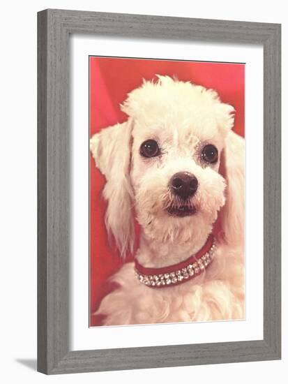 Poodle with Diamond Collar-null-Framed Art Print