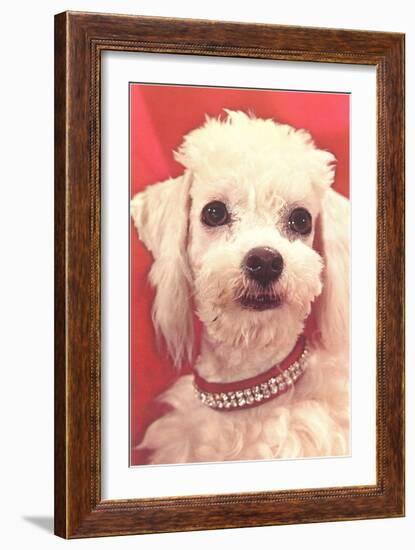 Poodle with Diamond Collar-null-Framed Art Print