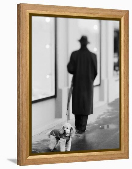 Poodle with Man, Lucerne, Switzerland-Walter Bibikow-Framed Premier Image Canvas