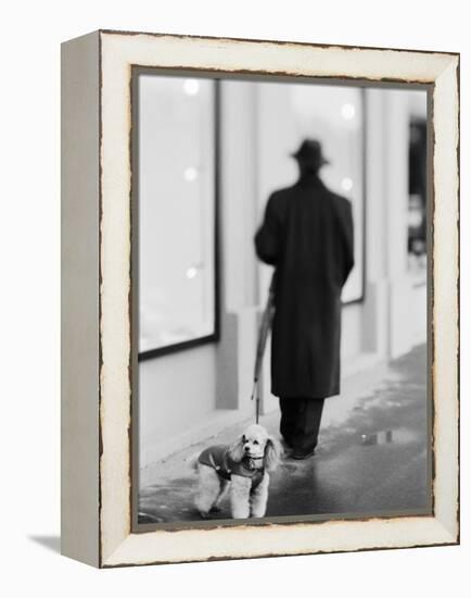 Poodle with Man, Lucerne, Switzerland-Walter Bibikow-Framed Premier Image Canvas