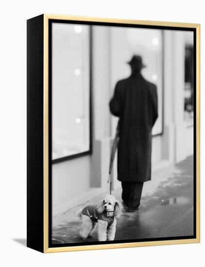 Poodle with Man, Lucerne, Switzerland-Walter Bibikow-Framed Premier Image Canvas