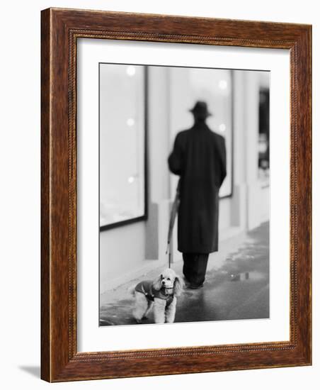 Poodle with Man, Lucerne, Switzerland-Walter Bibikow-Framed Photographic Print