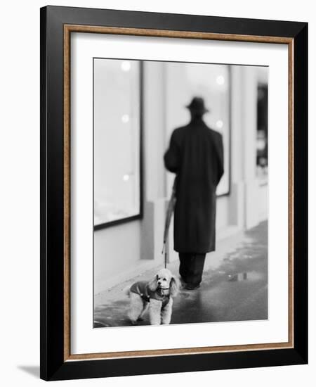 Poodle with Man, Lucerne, Switzerland-Walter Bibikow-Framed Photographic Print