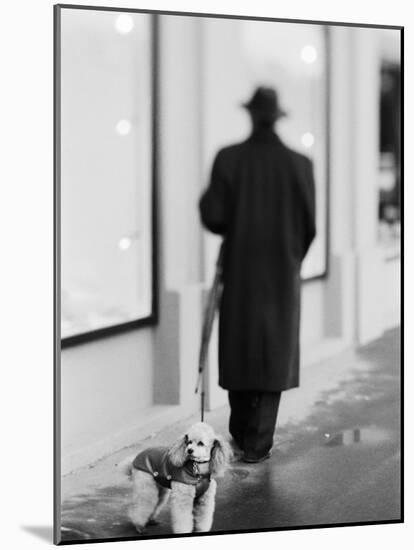 Poodle with Man, Lucerne, Switzerland-Walter Bibikow-Mounted Photographic Print