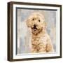 Poodle-Keri Rodgers-Framed Giclee Print