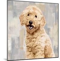 Poodle-Keri Rodgers-Mounted Giclee Print