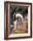 Poodle-null-Framed Photographic Print