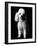 Poodle-null-Framed Photographic Print