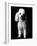 Poodle-null-Framed Photographic Print