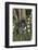 Poodle-Lynn M^ Stone-Framed Photographic Print