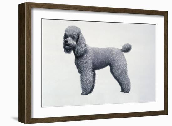 Poodle-Harro Maass-Framed Giclee Print