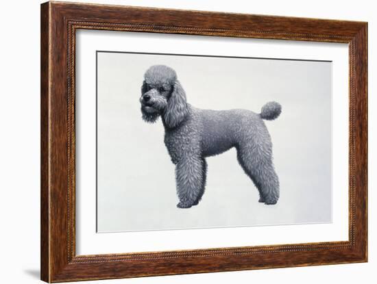 Poodle-Harro Maass-Framed Giclee Print