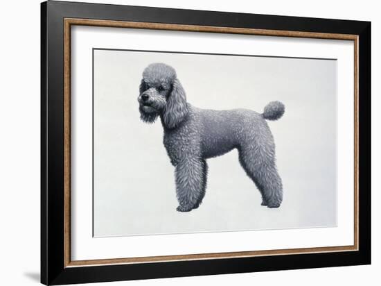 Poodle-Harro Maass-Framed Giclee Print