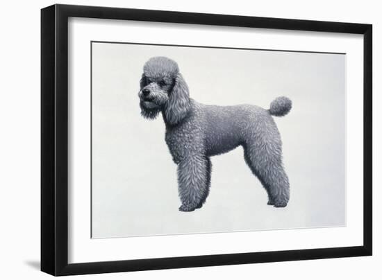 Poodle-Harro Maass-Framed Giclee Print