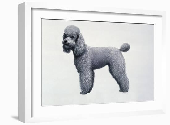 Poodle-Harro Maass-Framed Giclee Print