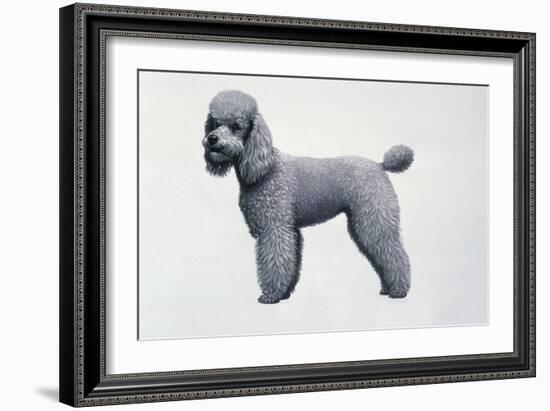 Poodle-Harro Maass-Framed Giclee Print