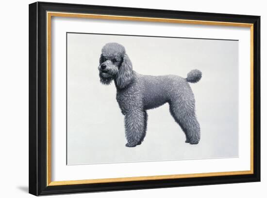 Poodle-Harro Maass-Framed Giclee Print